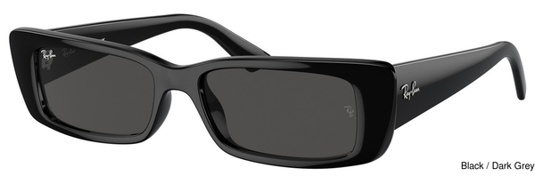 Ray-Ban Sunglasses RB4425F Teru 667787