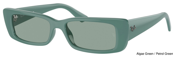 Ray-Ban Sunglasses RB4425F Teru 676282
