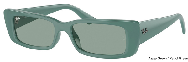 Ray-Ban Sunglasses RB4425 Teru 676282