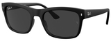 Ray-Ban Sunglasses RB4428F 601S48