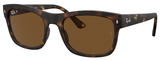 Ray-Ban Sunglasses RB4428 894/57