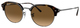 Havana On Gunmetal / Brown