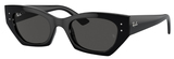 Ray-Ban Sunglasses RB4430F Zena 667787