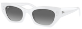 Ray-Ban Sunglasses RB4430F Zena 675911