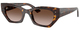 Havana / Gradient Brown