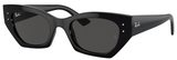 Ray-Ban Sunglasses RB4430 Zena 667787