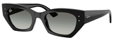 Ray-Ban Sunglasses RB4430 Zena 667711