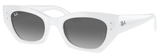 Ray-Ban Sunglasses RB4430 Zena 675911