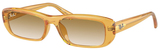 Ray-Ban Sunglasses RB4436D 668213