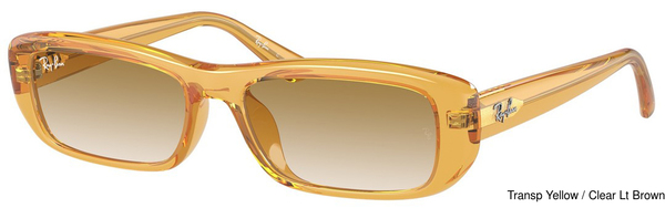 Ray-Ban Sunglasses RB4436D 668213