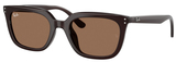 Ray-Ban Sunglasses RB4439D 623173