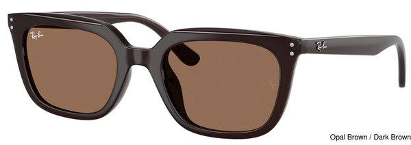 Ray-Ban Sunglasses RB4439D 623173
