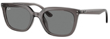 Ray-Ban Sunglasses RB4439D 667587