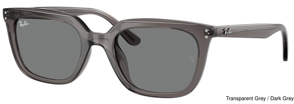 Ray-Ban Sunglasses RB4439D 667587