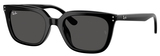 Ray-Ban Sunglasses RB4439D 901/87