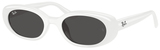 Ray-Ban Sunglasses RB4441D 677287