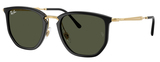 Ray-Ban Sunglasses RB4451 630631