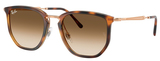 Ray-Ban Sunglasses RB4451 680451