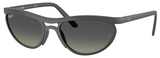 Ray-Ban Sunglasses RB4453 601711