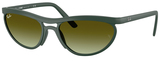 Ray-Ban Sunglasses RB4453 6016E8