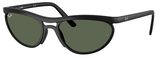 Ray-Ban Sunglasses RB4453 601S71