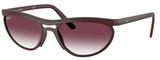 Ray-Ban Sunglasses RB4453 64458H