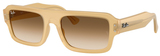 Ray-Ban Sunglasses RB4454F Flacko 680651