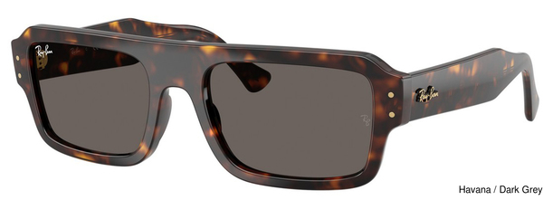 Ray-Ban Sunglasses RB4454F Flacko 1359B1