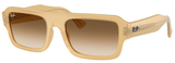 Ray-Ban Sunglasses RB4454 680651