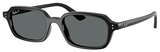Ray-Ban Sunglasses RB4455F 667781