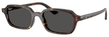 Ray-Ban Sunglasses RB4455 135987