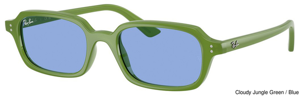 Ray-Ban Sunglasses RB4455 681080