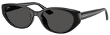 Ray-Ban Sunglasses RB4457D 667787