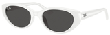 Ray-Ban Sunglasses RB4457D 677287