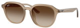 Ray-Ban Sunglasses RB4459D 616613