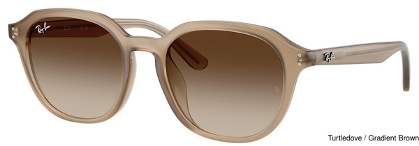 Ray-Ban Sunglasses RB4459D 616613
