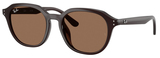 Ray-Ban Sunglasses RB4459D 623173