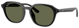 Ray-Ban Sunglasses RB4459D 901/9A