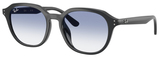 Ray-Ban Sunglasses RB4459D 623019