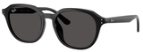 Ray-Ban Sunglasses RB4459D 901/87