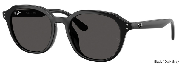 Ray-Ban Sunglasses RB4459D 901/87