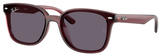 Ray-Ban Sunglasses RB4461D 659373
