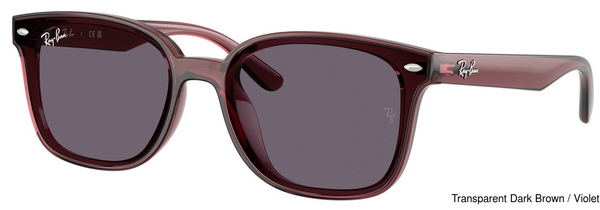 Ray-Ban Sunglasses RB4461D 659373