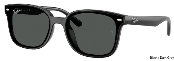 Ray-Ban Sunglasses RB4461D 601/87
