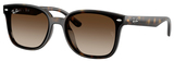 Ray-Ban Sunglasses RB4461D 710/13