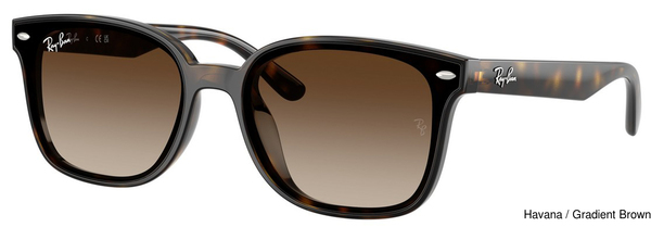 Ray-Ban Sunglasses RB4461D 710/13