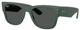 Ray-Ban Sunglasses RB4840S 665787