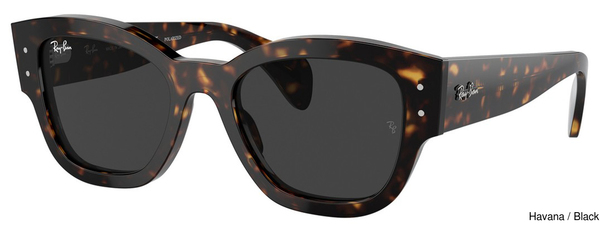 Ray-Ban Sunglasses RB7681SF 902/48