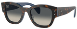 Ray-Ban Sunglasses RB7681S 140171