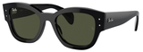 Ray-Ban Sunglasses RB7681S 901/31